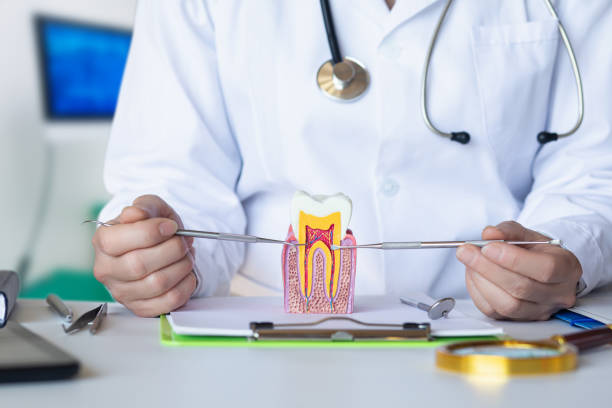 Best Emergency Denture Repair in New Athens, IL
